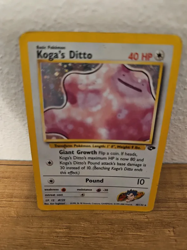 Koga's ditto 10 gym chaplenge pokemom